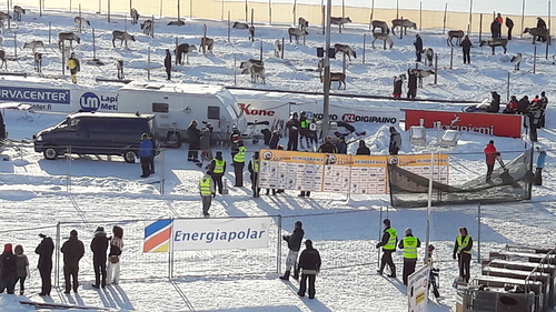 Kuva Rovaniemen Poro-Cupista ja aitauksesta, jossa porot odottelivat vuoroaan 1000 m aika-ajoa varten.