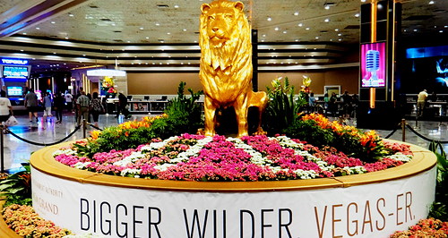 Las Vegasissa kuvernrielektit otti vastaan lhes oikea mutta vain suurempi ja villimpi ja vriltn kultaisempi leijona.